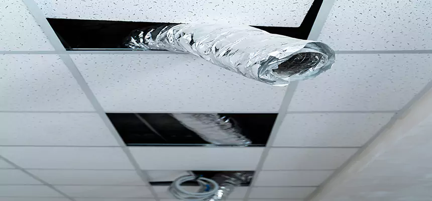 Affordable HVAC Sanitizing After Pest Removal in Bryan