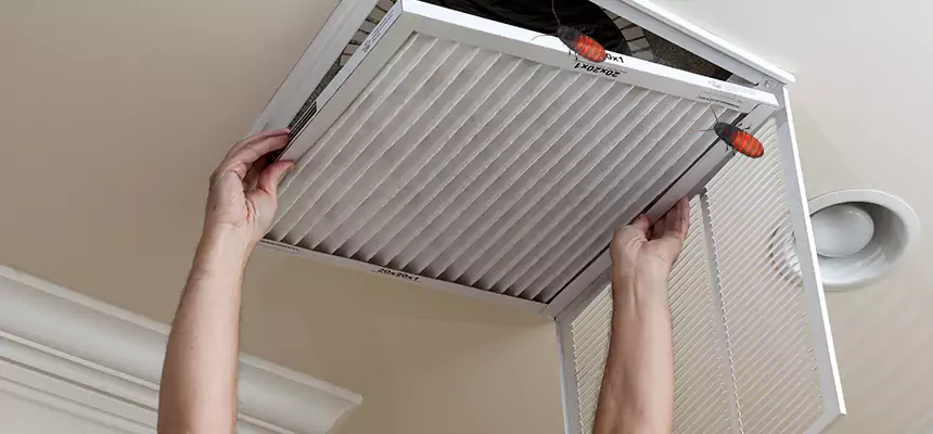 Our Insect Removal from Air Ducts Services in Bryan, TX