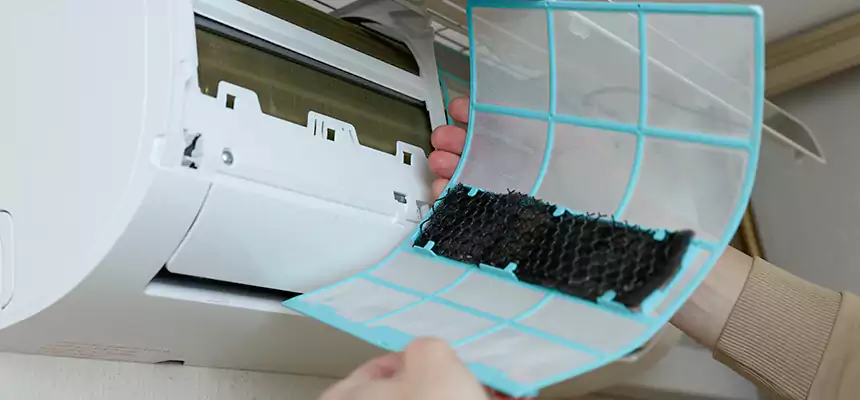 Gentle Ductwork Odor-Control Pet Dander Duct Cleaning in Bryan, TX