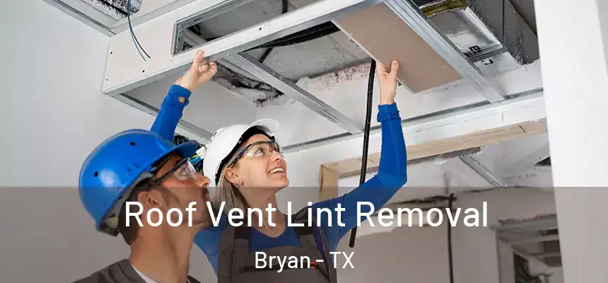 Roof Vent Lint Removal Bryan - TX