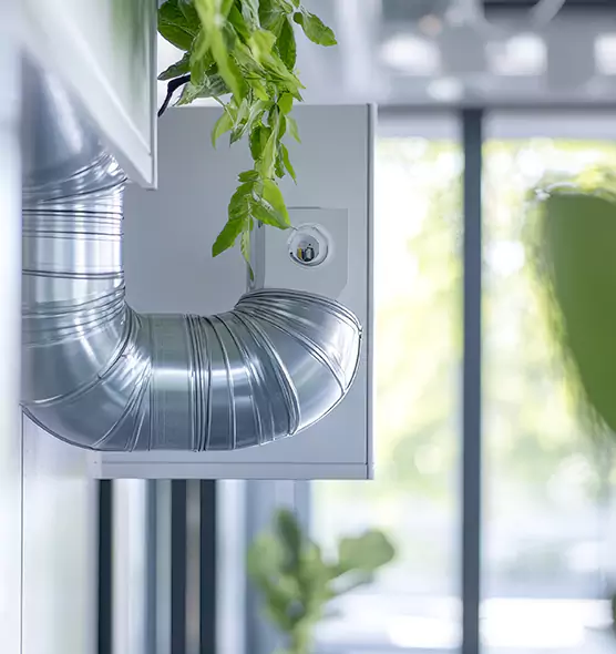 Professional Eco-Safe Dryer Vent Cleaning in Bryan, TX