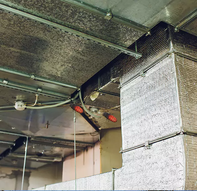 Why Homeowners & Businesses Trust Us in Bryan, TX?