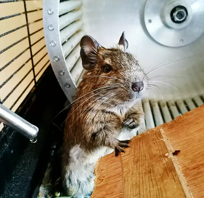 Why Homeowners & Businesses Trust Us Bryan, TX