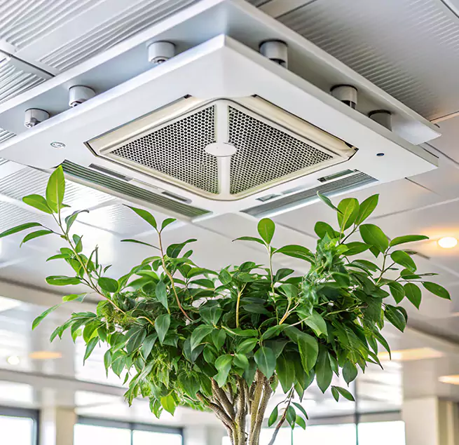 Why Homeowners & Businesses Trust Us in Bryan, TX?