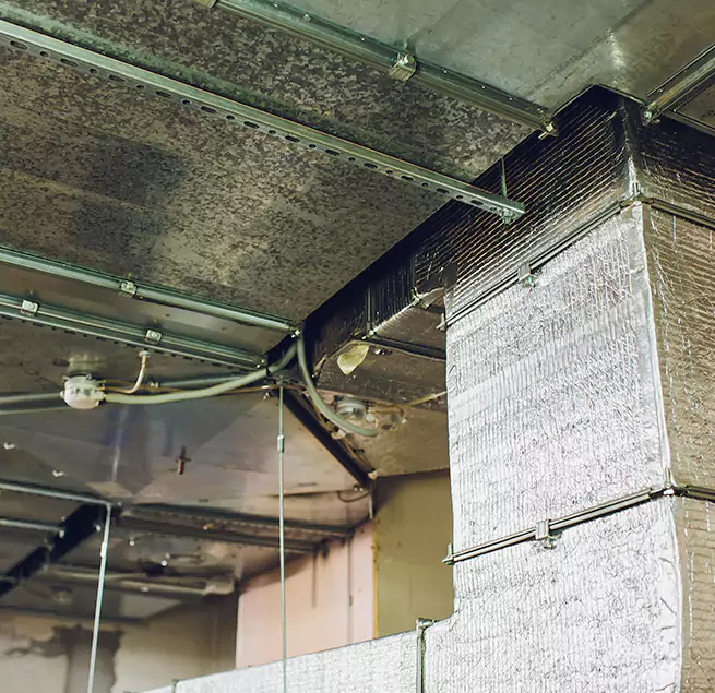 Why Homeowners & Businesses Trust Us in Bryan, TX?